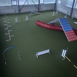 Hundearena Oberbüren